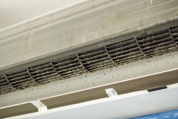 Best Affordable HVAC Duct Cleaning  in Bellair Meadowbrook Terrace, FL